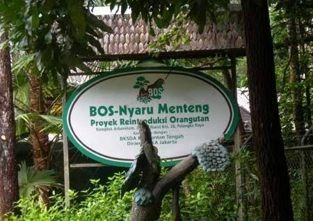 Tempat Wisata di Kalimantan Tengah