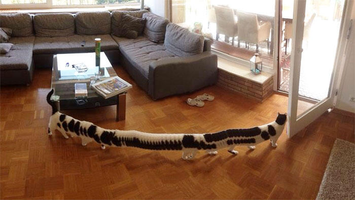 10+ Foto Panorama Yang "FAILED" Banget