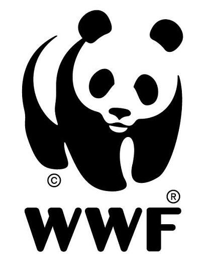 Alasan WWF mengubah nama menjadi WWE