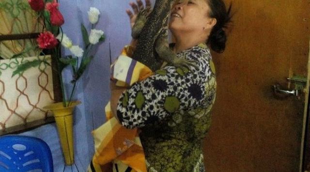 Biawak Pasangan Kembar Anak Manusia Gegerkan Warga Palopo