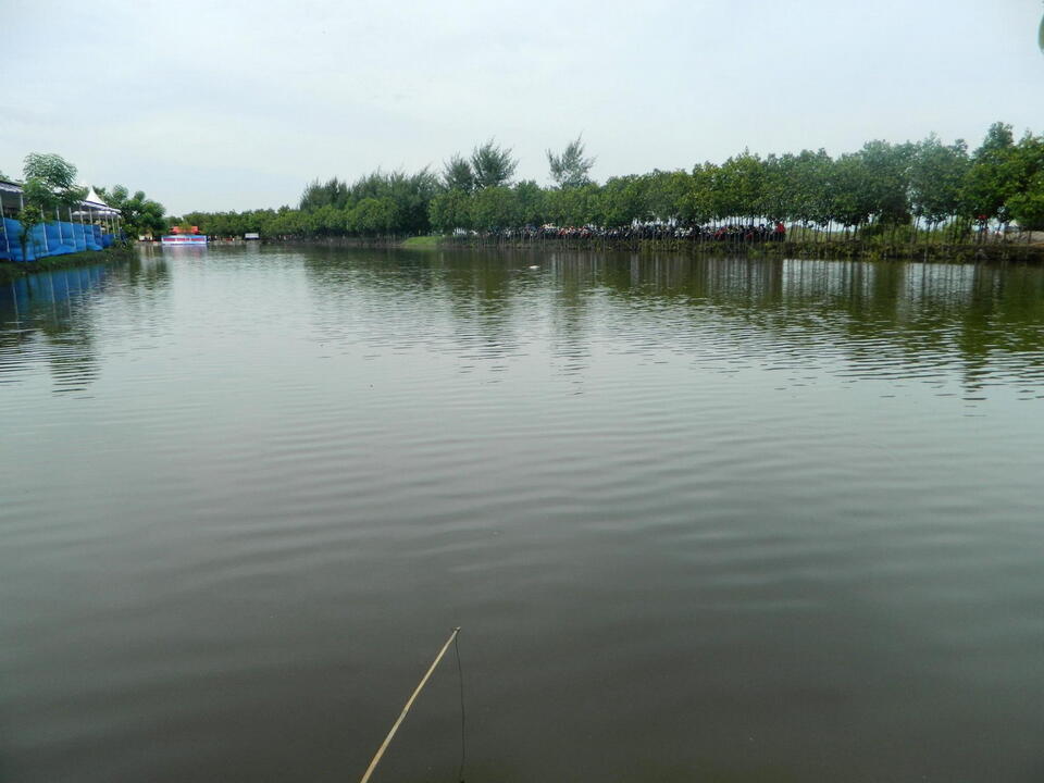 &#91;Share&#93; PEMANCINGAN &amp; WISATA @ -Tambak SEMESTA Tegal -