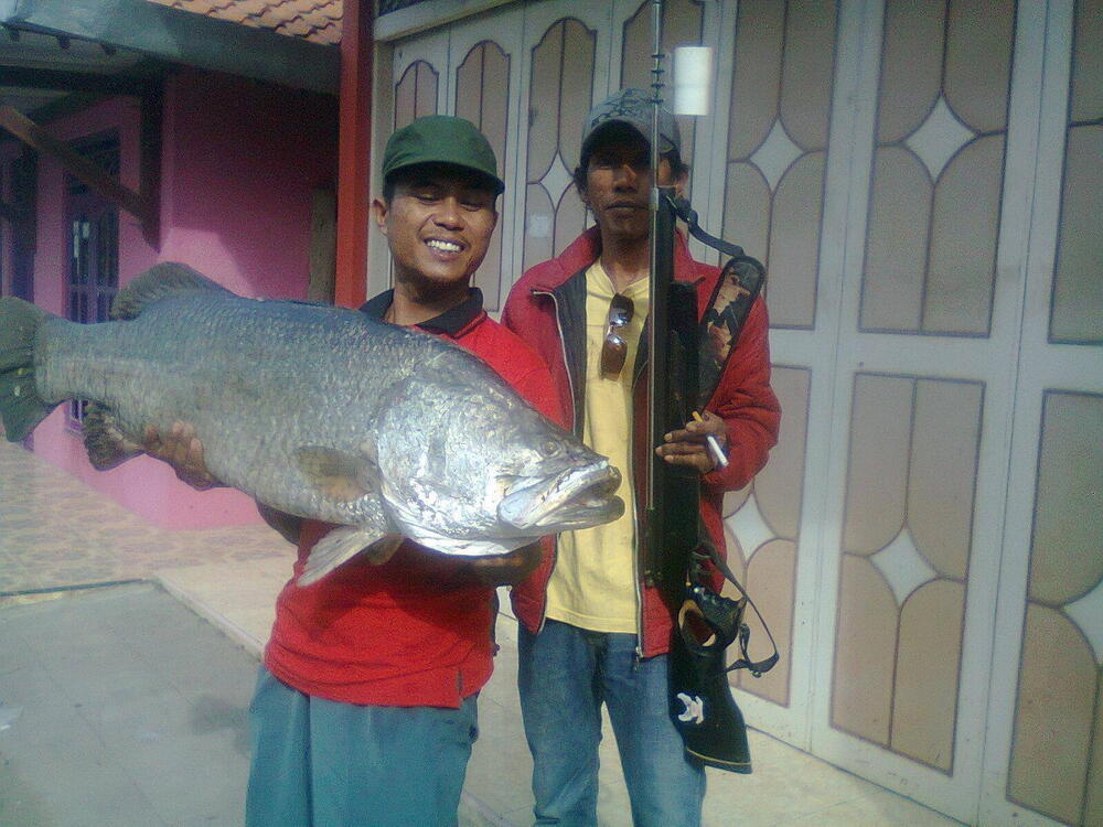 &#91;Share&#93; PEMANCINGAN &amp; WISATA @ -Tambak SEMESTA Tegal -