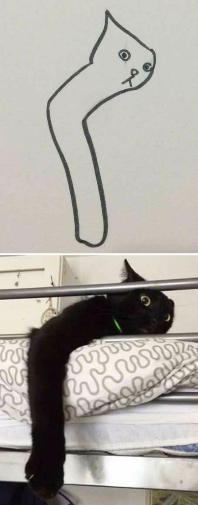 Bikin ngakak, begini jadinya jika anak-anak disuruh melukis kucing.