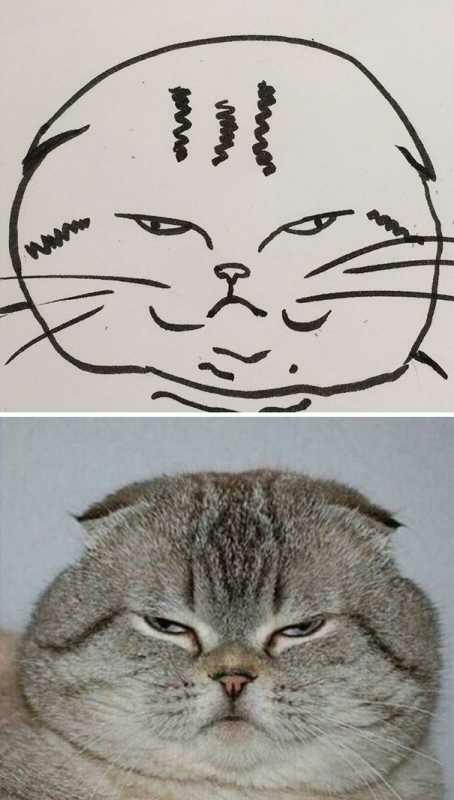 Bikin ngakak, begini jadinya jika anak-anak disuruh melukis kucing.