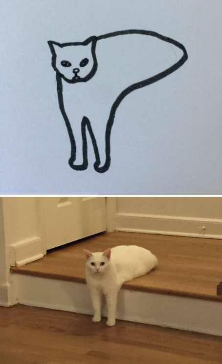 Bikin ngakak, begini jadinya jika anak-anak disuruh melukis kucing.