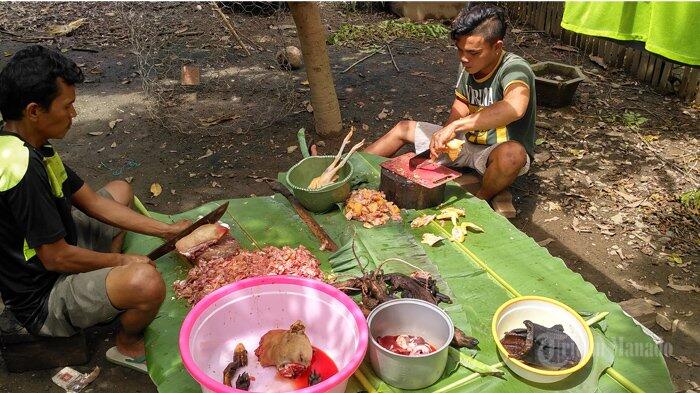 Babi, Anjing, Tikus, Ular Piton, Tetap Jadi Menu Andalan di Pengucapan Syukur Minahas