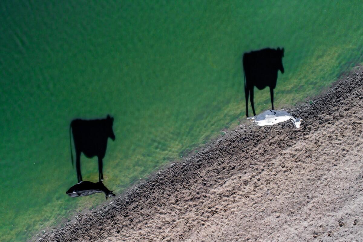 Fotografi Drone Terbaik di 2017 Versi #Dronestagram