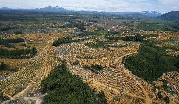 10 Alasan yg bisa buat kamu jatuh cinta terhadap Indonesia