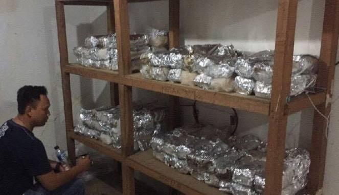 Sabu 300 Kg Diselundupkan Melalui Mesin Poles Sepatu