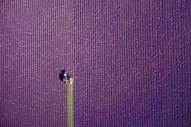 Inilah Karya Fotografi Pemenang International Drone Photography Contest, Keren!