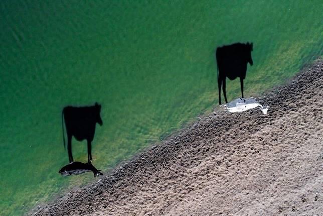 Inilah Karya Fotografi Pemenang International Drone Photography Contest, Keren!
