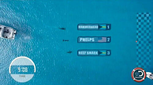 Sebelum Phelps vs Hiu, Ini Dia Pertarungan Aneh yang Pernah Ada