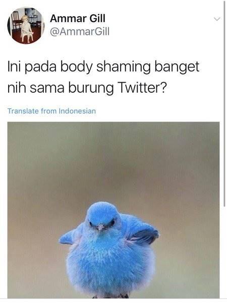 Twit Kocak Logo Burung Twitter.