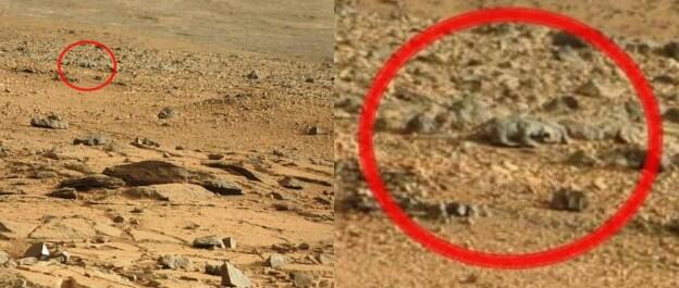 Ada Penampakan Kadal di Permukaan Planet Mars?
