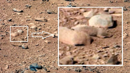 Ada Penampakan Kadal di Permukaan Planet Mars?