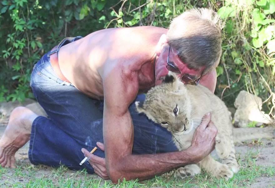 Anak Singa yang Telah Diadopsi Itu, Kini Tumbuh Menjadi Kucing Besar yang Jinak