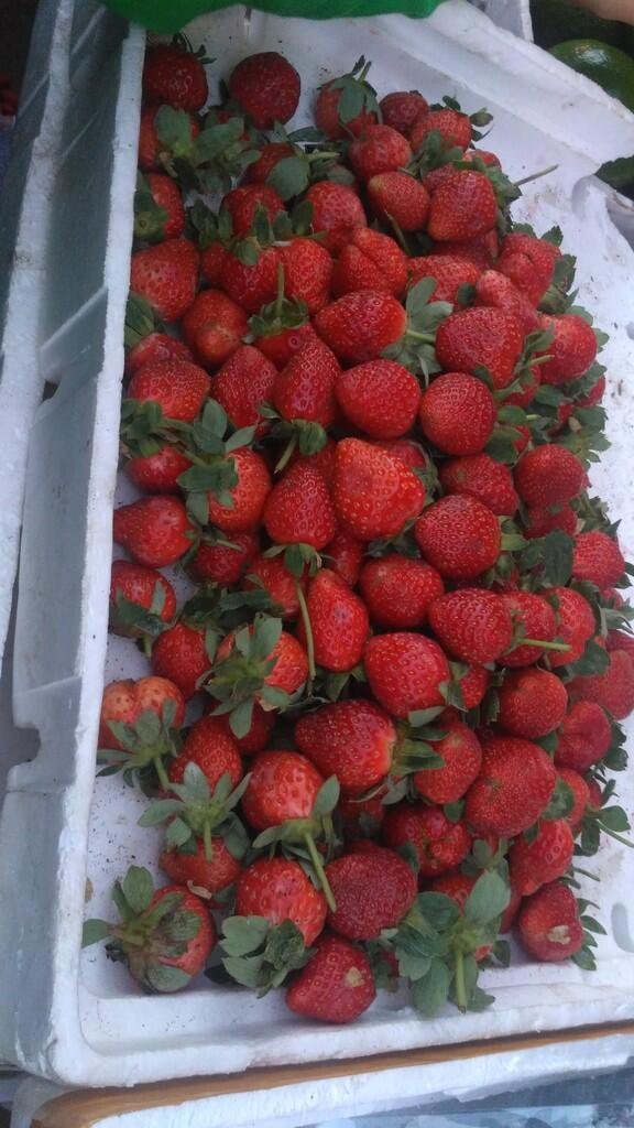 Hasil bumi sarangan - buah dan sayur lokal [murah dan berkualitas]