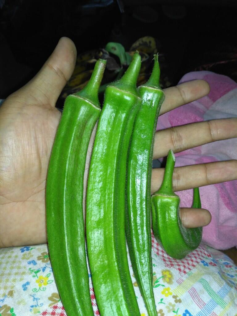 Hasil bumi sarangan - buah dan sayur lokal [murah dan berkualitas]