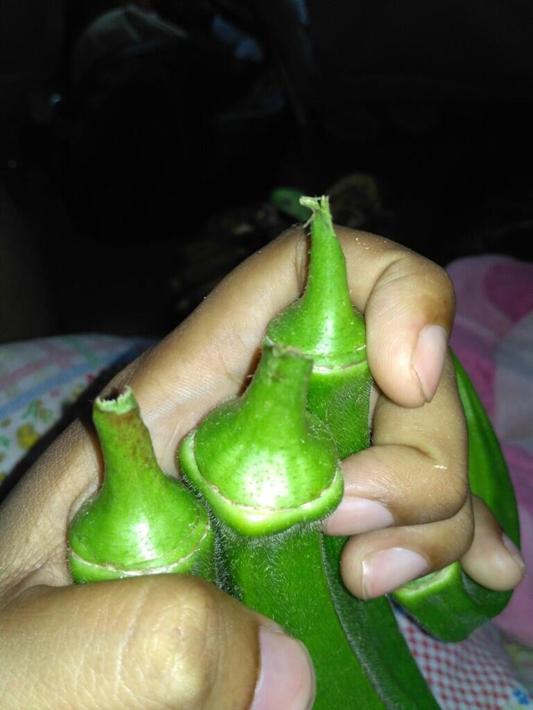 Hasil bumi sarangan - buah dan sayur lokal [murah dan berkualitas]