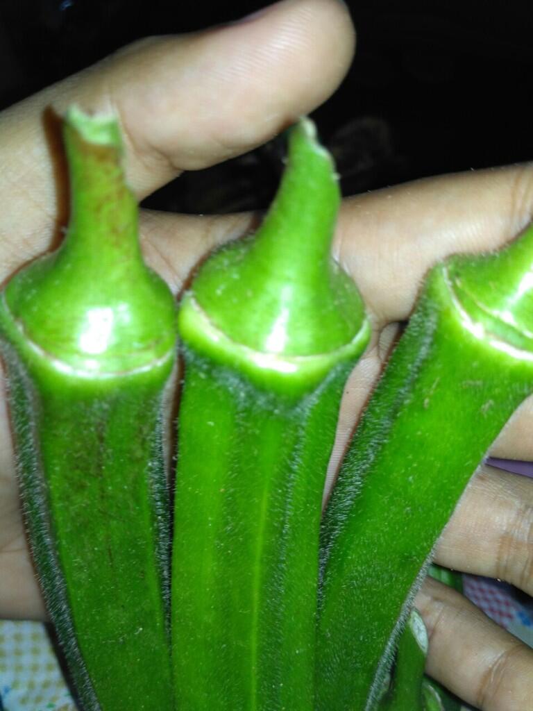 Hasil bumi sarangan - buah dan sayur lokal [murah dan berkualitas]