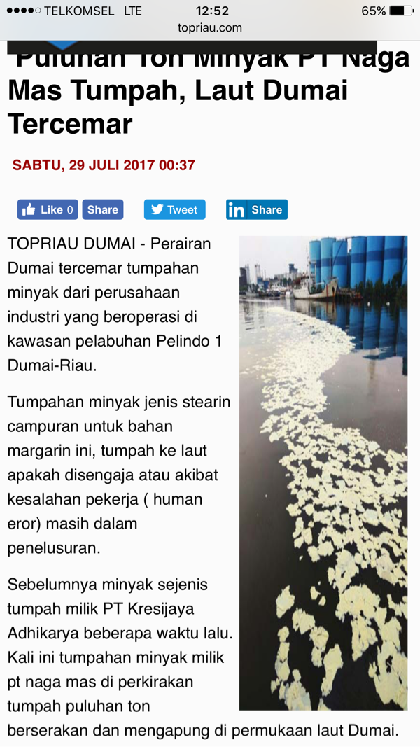  Puluhan Ton Minyak PT Naga Mas Tumpah, Laut Dumai Tercemar