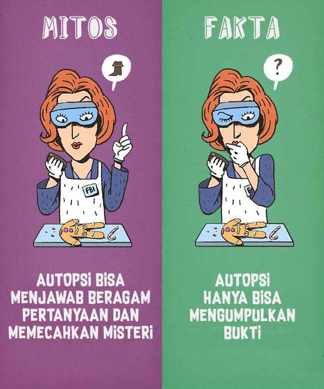 12 Mitos di Film dan Fakta di Dunia &#91;Explained Illustration&#93;