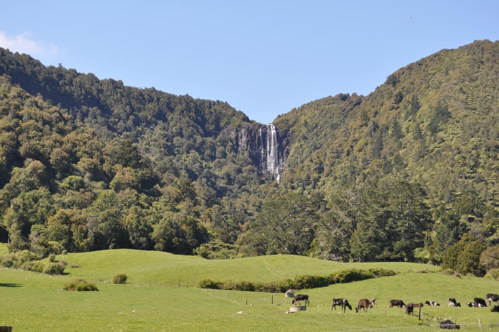 PULAU UTARA NEW ZEALAND, SEPERTI APA MENAKJUBKANNYA? (BAGIAN 1)