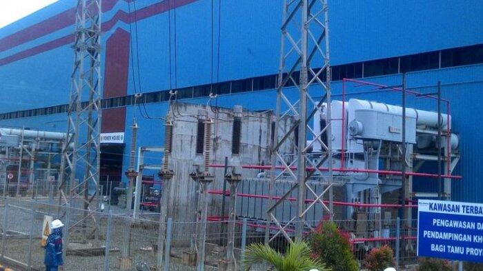 Gunakan Biomassa, PLN Siap Pasok Setrum untuk Sektor Industri di Kalimantan