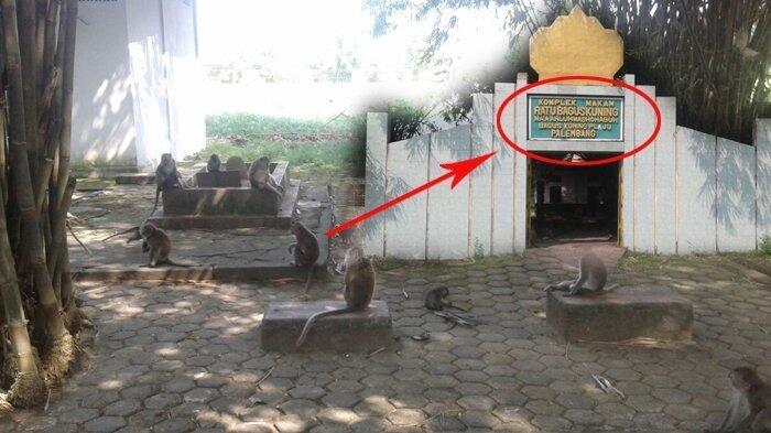Berhubungan Intim di Makam Keramat, Kemaluan Muda-mudi ini Lengket dan Harus Dipotong
