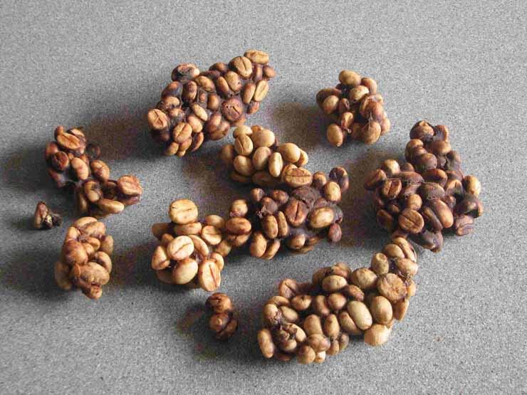 Cara membuat kopi luwak, lebih mantap dibanding beli rentengan