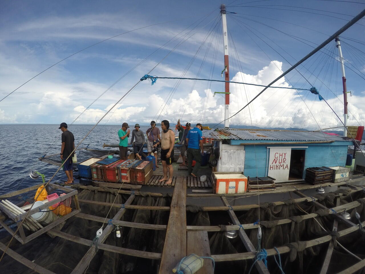 Melihat Hiu Paus di Kwatisore, Papua