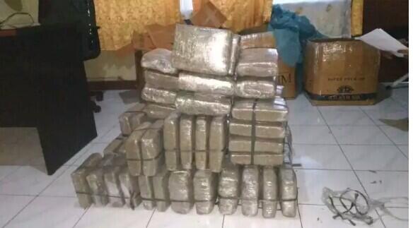 Polres Pariaman Berhasil Gagalkan Peredaran Ganja 60 Kg