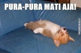 Bahaya Gak Gosok Gigi. No.4 Gak Nyangka Gan