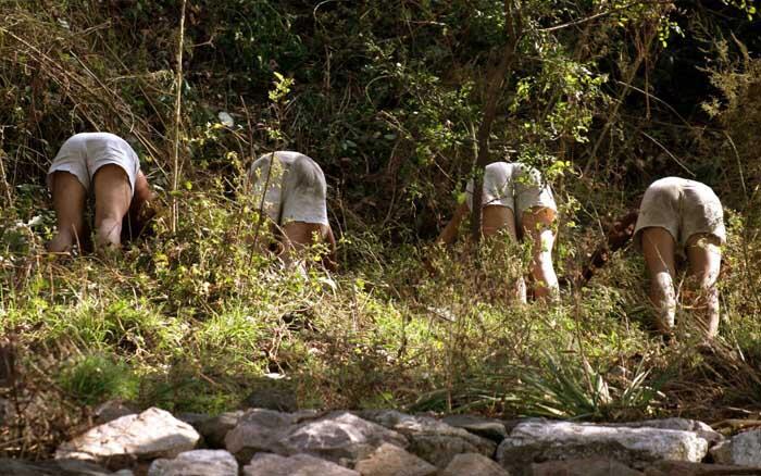 Mengintip misteri militer Korea Utara