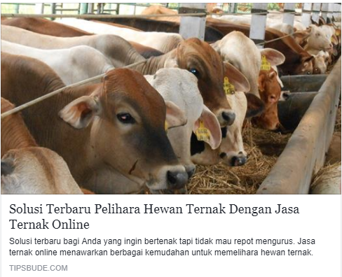 Wow Bisnis Online Sudah Mulai Merambah Dunia Hewan Ternah Lohhh Guys