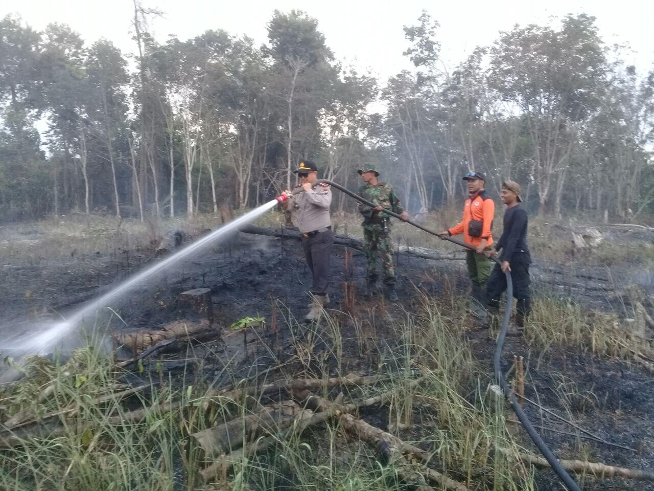 Satgas Karhutla Pelalawan Bersinergi Untuk Padamkan Kebakaran Hutan.