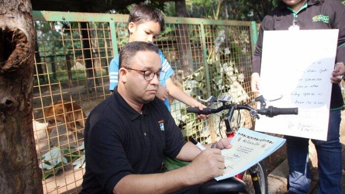 Ini Nama yang Diberikan Anies Baswedan kepada Bayi Anoa Berumur 3 Bulan