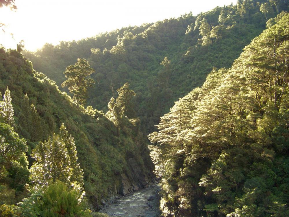 MENYINGGAHI BERBAGAI LOKASI FILM THE HOBBIT TRILOGY DI NEW ZEALAND