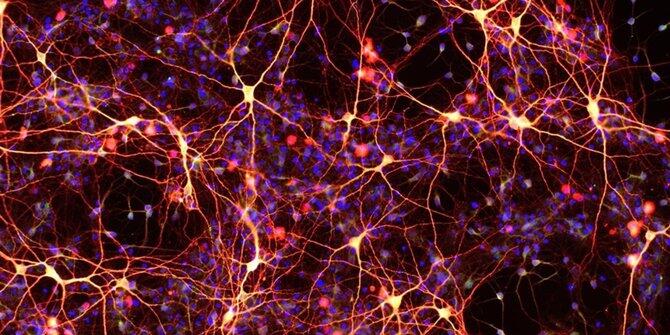 7 Penemuan paling revolusioner di dunia ilmu pengetahuan modern