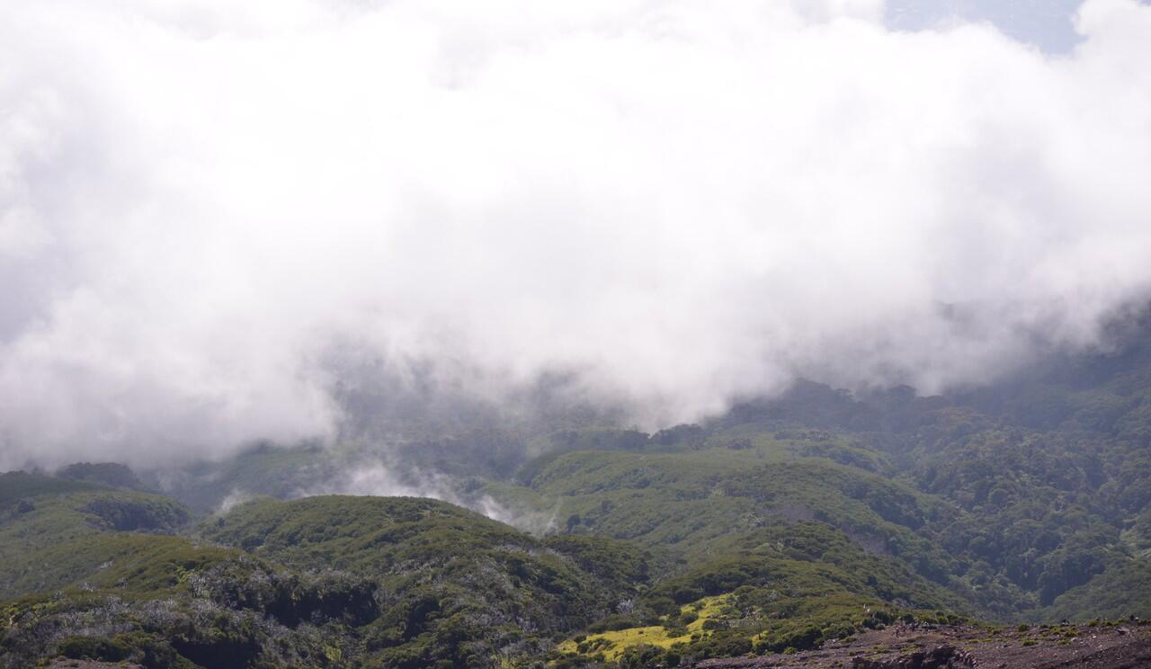 Pendakian Gunung Slamet 3428MDPL sempat Tersesat (adipala crew)