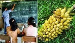 4 Guru Pinggiran Bergaji Lebih Kecil dari Pengamen, Ada yg Cuma Dibayar Pakai Pisang!