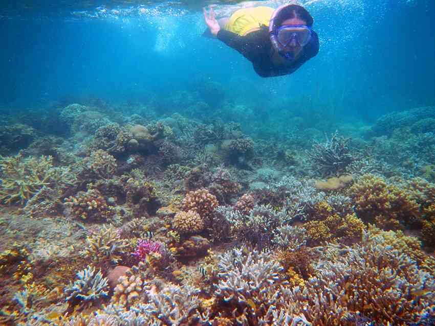 5 Tempat di Sulawesi Yang Menjadi Surganya Bawah Laut