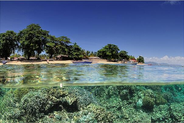 5 Tempat di Sulawesi Yang Menjadi Surganya Bawah Laut