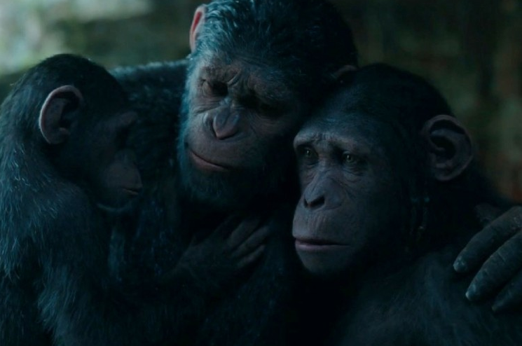 Belajar Kemanusiaan dari Film War of the Planet of the Apes!