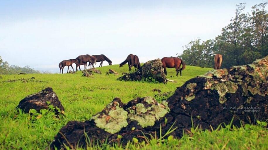 Keindahan Timor Tengah Selatan NTT Indonesia
