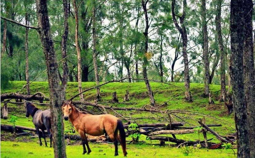Keindahan Timor Tengah Selatan NTT Indonesia