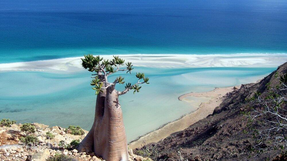 Pulau SOCOTRA, Pulau dengan sebutan penjara Dajjal sekaligus Pulau kebahagiaan.