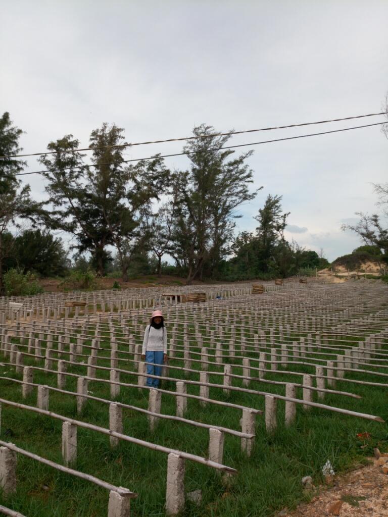 [FR] Backpacker-an ke beberapa Negara di Asia Tenggara