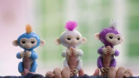 Fingerlings Monkey – Monyet Imut yang Dapat Bergelantungan di Jemari