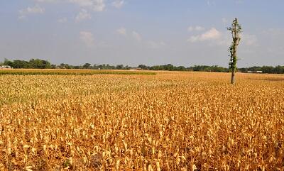Tanpa Batas Bukan Tanpa Akhir